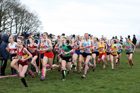 Intermediate girls 2019 New Balance English Schools Cross Country Champs, Temple Newsam, Leeds. Photo:  David T. Hewitson/Sports for All Pics